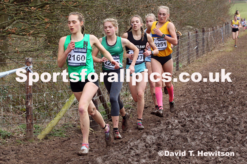 Womens under-17s, 2020 British Athletics Inter Counties Cross Country Champs., Prestwold Hall, Loughborough. Photo: David T. Hewitson/Sports for All Pics